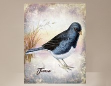 View Junco Wild Bird Greeting Card