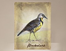 View Meadowlark Wild Bird Card